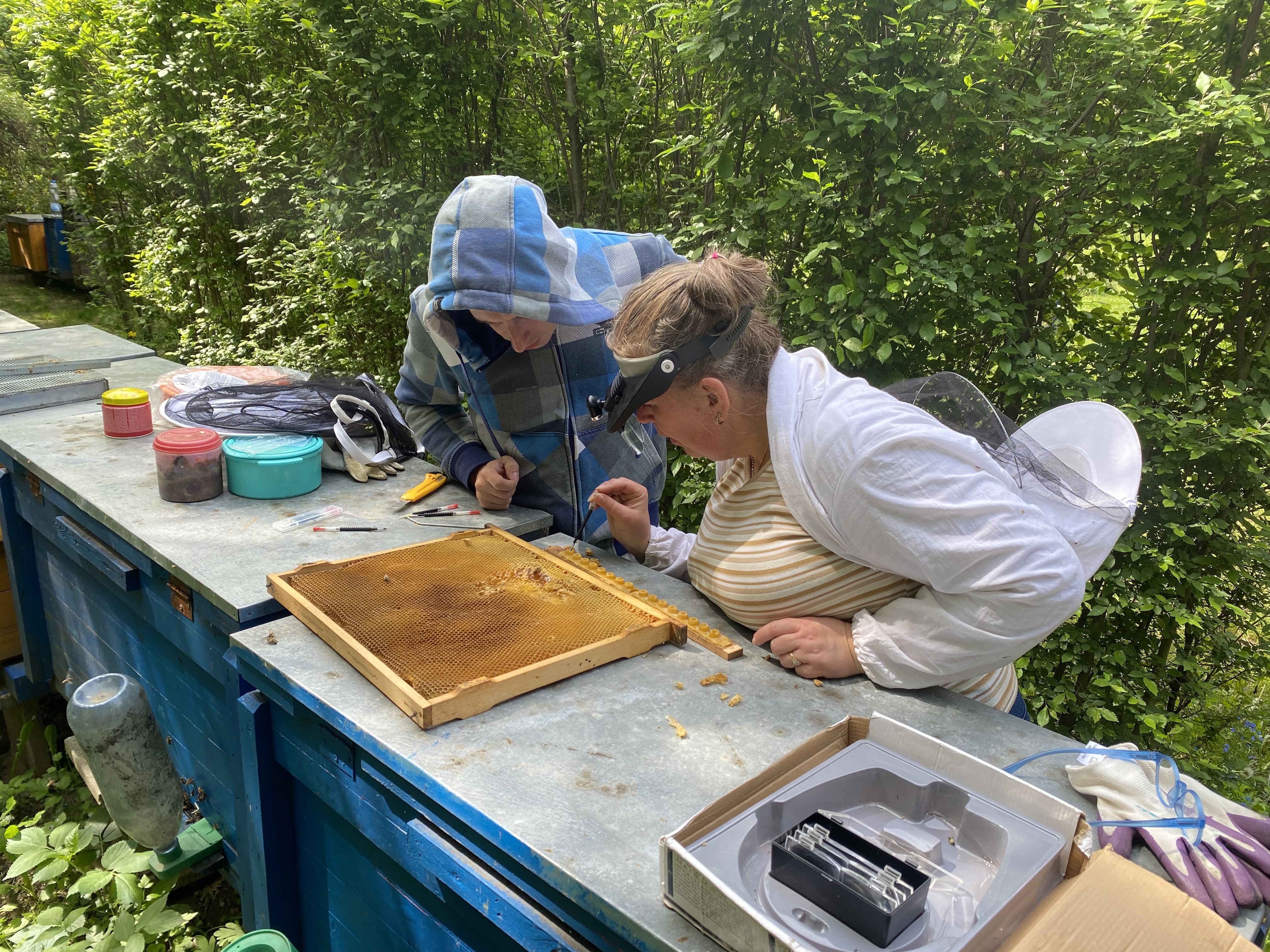 Szakmai finomságok elsajátítása