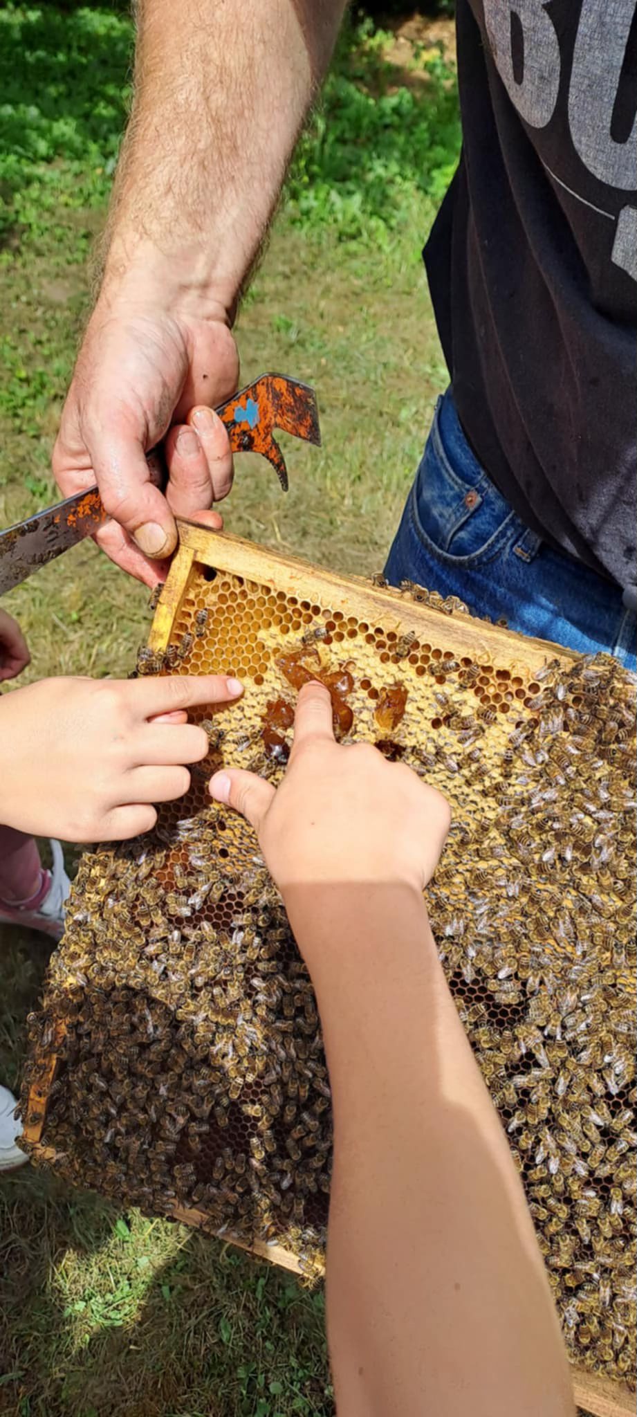 Előadás gyerekeknek