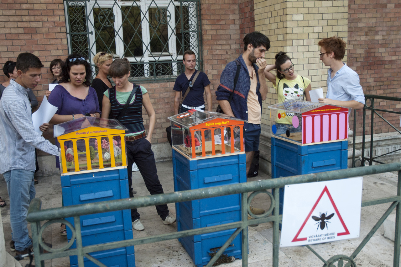 Közösségi méhészkedés a Műcsarnoknál