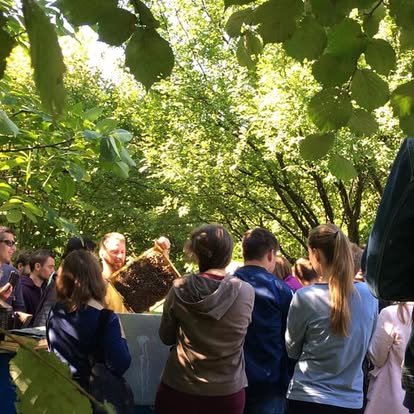 Pályaválasztási bemutató