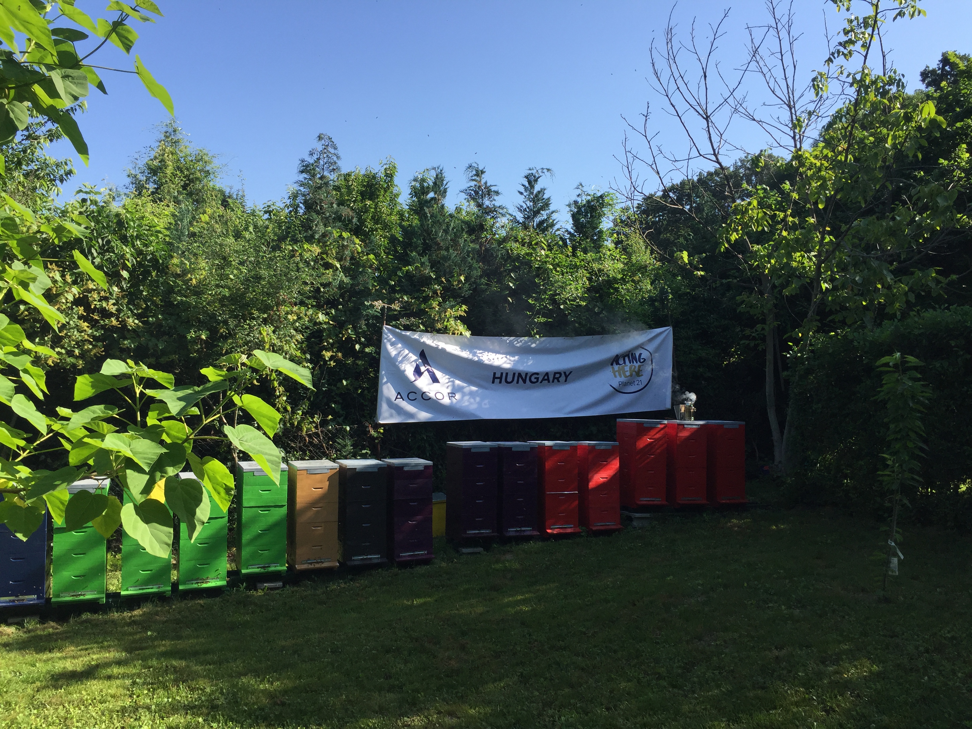 Az Accor Group projekt kaptárjai